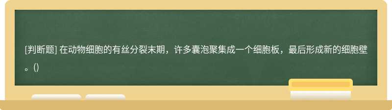 在动物细胞的有丝分裂末期，许多囊泡聚集成一个细胞板，最后形成新的细胞壁。()
