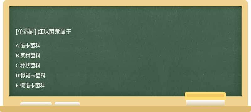 红球菌隶属于