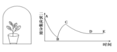 某植物放置在密闭的玻璃钟罩中， 首先将其放在光照下， 然后突然将其放置在室内黑暗中一段时间， 然后开