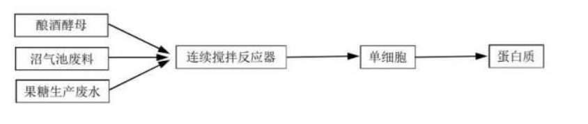 废水、废料经加工可变废为宝。某工厂利用果糖生产废水和沼气池废料生产蛋白质的技术路线如图所示。下列叙述