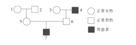 如图是一个血友病（X染色体隐性基因导致的遗传病）遗传系谱图。推测患者7的致病基因来自（）。