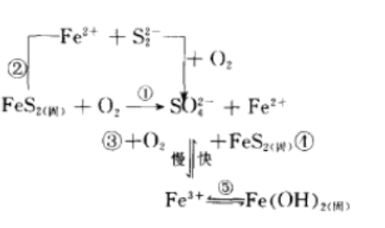回答下列问题1.写出Fe (II) 和I在溶液中的反应现象和反应方程式。2.有足量FT时，Fe (I