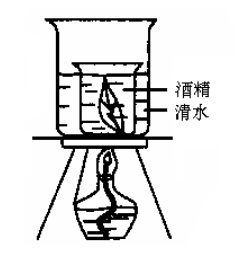 下列各实验装置中，能迅速、安全地脱去绿叶中叶绿素的是（）。