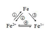 一定能实现铁元素之间相互转化的措施是（）。