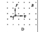 在图7所示的四幅图中，正确标明了带正电的粒子所受洛伦兹力。 F方向的是（）。