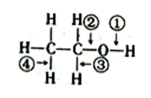 下列关于乙醇在各种化学反应中化学键断裂情况的说法不正确的是（）。