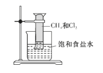 对CH4与Cl2的反应（如图所示）叙述不正确的是（）。
