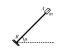 如图所示，直杆AB与水平面成α角固定，在杆上套一质量为m的小滑块，杆底端B点处有一弹性挡板，杆与板面