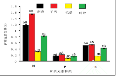 图1是N、P、K含量在板栗幼果期结果枝不同组织或器官中的分布规律柱形图。请就图1中所反映的信息进行分