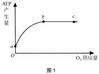 導管和管胞b.篩管和伴胞a.胞間連